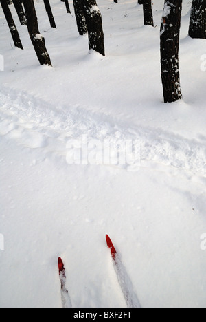 Winter-Stillleben mit roten Paar Ski Stockfoto