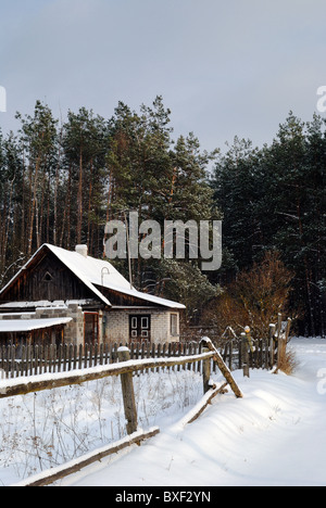 Bauernhof-Szene in der Ukraine, Osteuropa Stockfoto