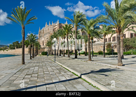 Mallorca Palma Kathedrale La Seu und Parc de la Mar Altstadt Mallorca Balearen Spanien Stockfoto