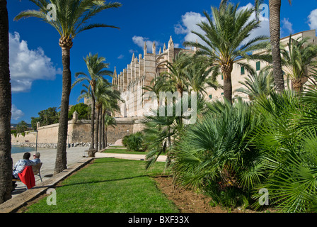 Palma Kathedrale La Seu und Parc de la Mar historische Stadtzentrum mit Besucher genießen den Blick auf den Parc de la Mar meer Einlass Mallorca Balearen Spanien Stockfoto