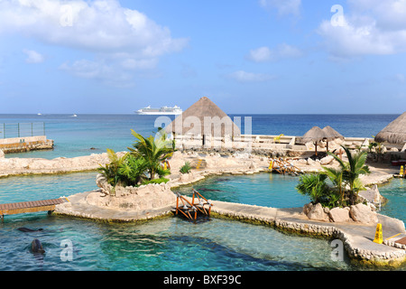 Delfinarium in Cozumel Mexiko mit Kreuzfahrtschiff im Hintergrund Stockfoto