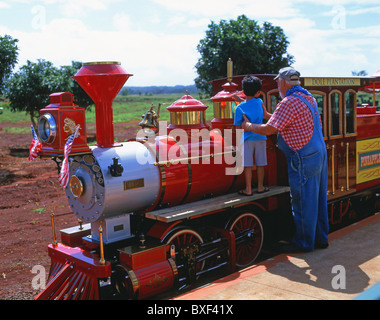 Ananas Express Railway, Dole Plantation, Kamehameha Highway, Wahiawa, Honolulu, Oahu, Hawaii, Vereinigte Staaten von Amerika Stockfoto