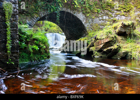 Torc Wasserfall im Nationalpark Killarney, Irland Stockfoto