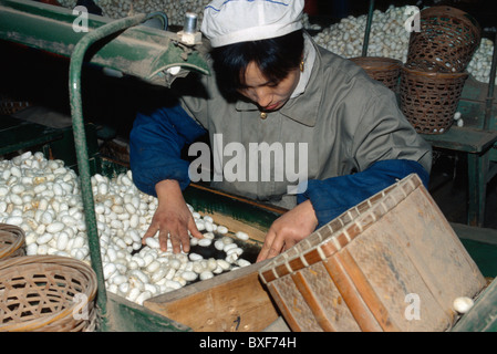 Spinnen in der Seidenfabrik, Hangzhou, China Stockfoto