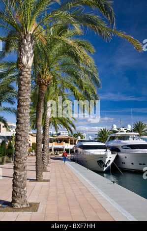 Luxus-Motoryachten ankern im schicken Yachthafen Puerto Portals Portals Nous Palma de Mallorca Balearen Spanien Stockfoto