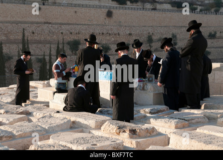 Gruppe von orthodoxen Juden beten um ein Grab auf dem Ölberg Cemetery. Jerusalem Stockfoto