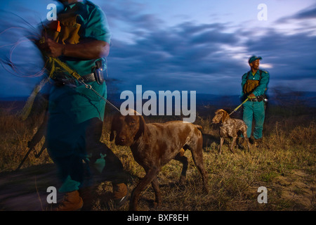 Anti-Wilderer-Einheit auf Patrouille mit Hunden. Hluhluwe-Umfolozi Game Reserve. KwaZulu Natal. Südafrika. Stockfoto
