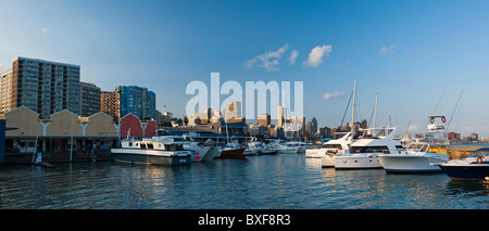 Skyline der Stadt und kleine Boote Hafen von Wilsons Wharf (Wilsons) am Hafen. Durban. KwaZulu Natal, Südafrika. Stockfoto