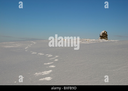 Fußspuren im Schnee Richtung Gipfel Cairn auf hohe Spion im englischen Lake District Stockfoto