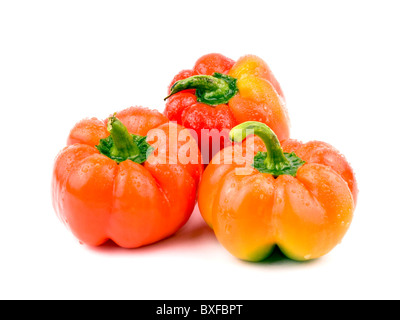 Drei leckere rote Paprika auf weißem Hintergrund Stockfoto