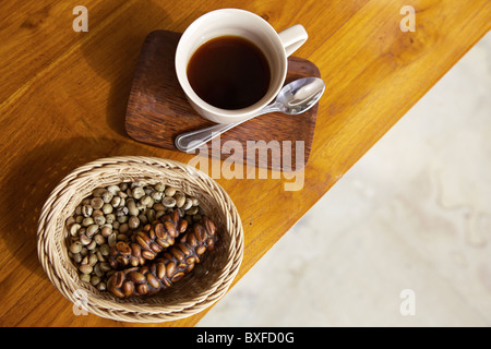 Civet Kaffee oder Kaffee/Kopi Luwak (Indonesisch) braune Bohnen vor dem Braten, weißer Bohnen danach. Fertigen Produkt im Cup. Stockfoto