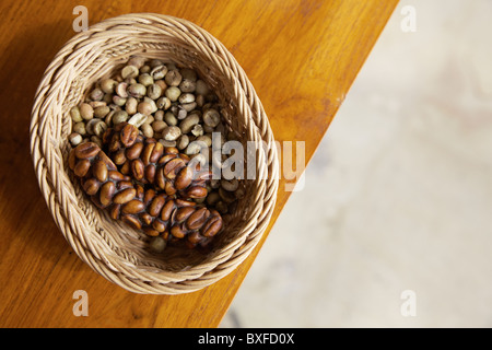 Civet Kaffee oder Kaffee/Kopi Luwak (Indonesisch) braune Bohnen vor dem Braten, weißer Bohnen danach. Stockfoto