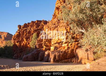 Trockenen Bachbett durch Trephina Gorge im Osten MacDonnell Ranges, Alice Springs, Northern Territory Stockfoto