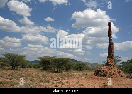 Hohen Termite Mound In ariden Buschland Landschaft, Omo-Tal, Äthiopien Stockfoto