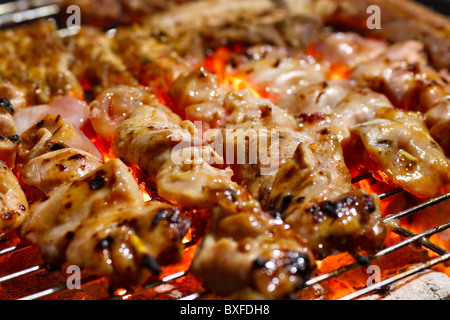 Saftiges Hühnchen Shish Kebabs auf Holzkohle Grill. Stockfoto