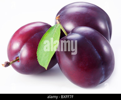 Drei Pflaumen mit Blättern auf weißem Hintergrund. Stockfoto