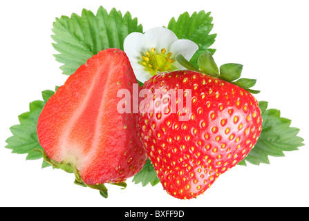 Verführerische Erdbeeren mit Blättern und Blumen. Datei enthält eine Beschneidungspfade. Stockfoto