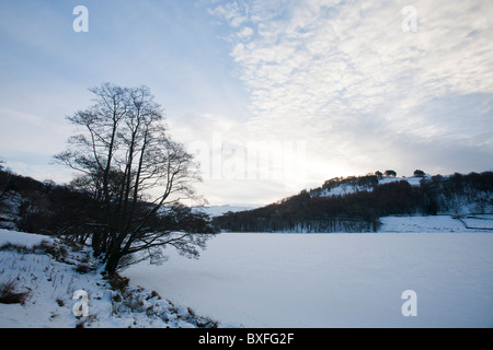 Schaf-Spuren im Schnee Ontop eines gefrorenen Rydal Wasser im Lake District, Großbritannien, während der Dezember 2010 Kälteeinbruch. Stockfoto