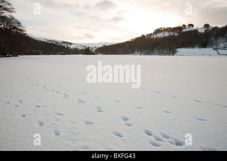 Schaf-Spuren im Schnee Ontop eines gefrorenen Rydal Wasser im Lake District, Großbritannien, während der Dezember 2010 Kälteeinbruch. Stockfoto