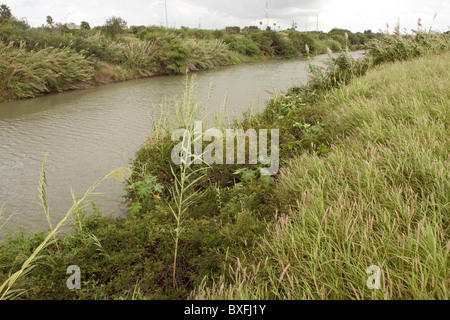 Den unbebauten Ufern des Flusses Rio Grande fließt durch die Innenstadt von Brownsville, Texas, Blick nach Westen, Matamoros, Mexiko Stockfoto