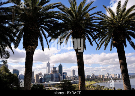 Skyline von Perth, vom Kings Park aus gesehen. Western Australia, Australia Stockfoto