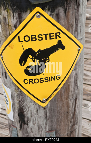 Schild für Hummerkreuzungen in Lunenburg, Neuschottland, Kanada. Stockfoto