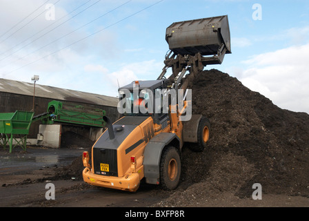 Frontlader auf Komposthaufen am Recyclinghof Stockfoto