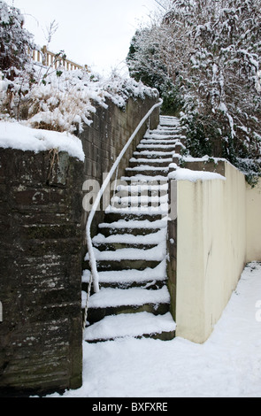 Eine Reihe von Outdoor-Schritte im Schnee mit einem Handlauf an der linken Wand bedeckt. Der Boden, die Wände und die Pflanzen sind mit Schnee bedeckt. Stockfoto