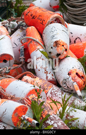 Bojen in Westport Village, Brier Island, Nova Scotia, Kanada. Stockfoto