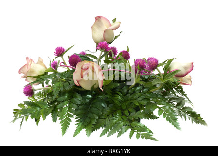 Strauß Rosen auf weißem Hintergrund. Stockfoto