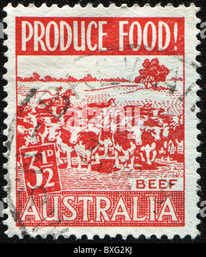 Australien - ca. 1959: Eine Briefmarke gedruckt in Australien zeigt Kuhherde, ca. Stockfoto