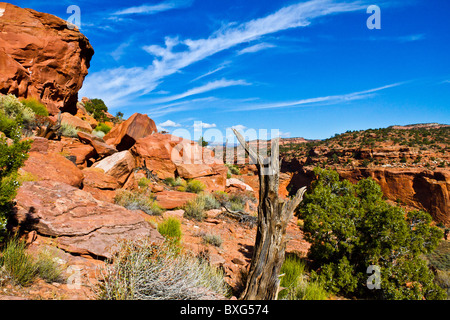 Long Canyon, UT. mit dramatischen Winterhimmel. Stockfoto