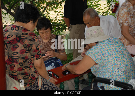 Domino, Spiel, Park, Peking, China Stockfoto