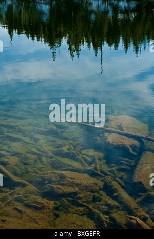 Abstraktion von Reflexionen auf Jenny Lake, Grand-Teton-Nationalpark, Wyoming, USA Stockfoto