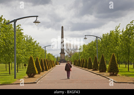 Nelsons Denkmal, Glasgow Green Stockfoto