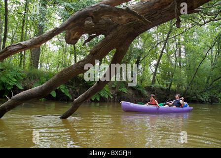 Vater und Sohn Kanu auf dem Fluss Eyre, Aquitaine, Frankreich. Stockfoto