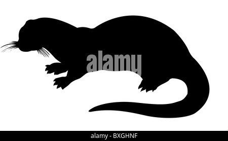 Vector Silhouette Otter auf weißem Hintergrund Stockfoto