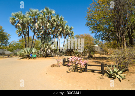 Shingwedzi Rest Camp Kruger Nationalpark in Südafrika Stockfoto