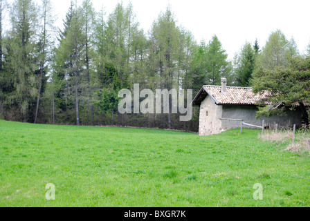 Hütte in den Bergen und Wiesen des Trentino, umgeben von Tannen und Lärchen Stockfoto