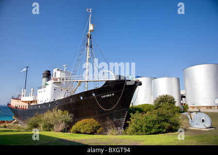 Die Walfänger Cheynes IV jetzt ein Museum Schiff in Wal-Welt in der Nähe von Albany Western Australia mit Lagertanks und Willy Whale Stockfoto