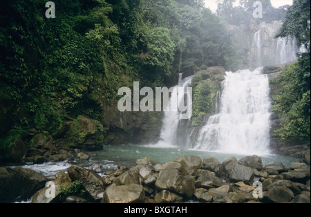 Costa Rica, Wasserfall Nauyaca Bei Dominical, Touristen, Touristen Wasserfall Stockfoto