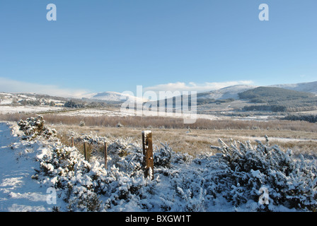 Winter in Irland Stockfoto