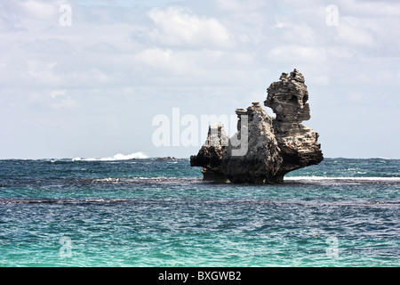 Sphynx wie Felsformation am Strand bei Cosy Corner bei Kap zu Kap Leeuwin Naturaliste National Park Australien Stockfoto