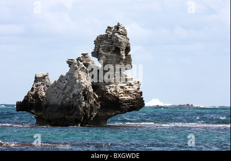 Sphynx wie Felsformation am Strand bei Cosy Corner bei Kap zu Kap Leeuwin Naturaliste National Park Australien Stockfoto