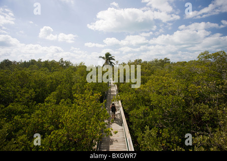 Touristen auf der Promenade in den Everglades, Florida, Vereinigte Staaten von Amerika Stockfoto