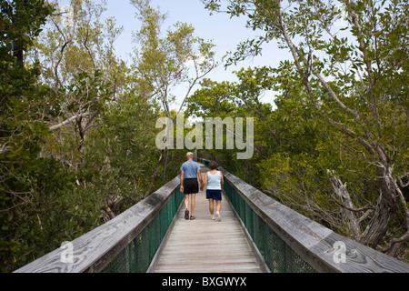 Touristen auf der Promenade in den Everglades, Florida, Vereinigte Staaten von Amerika Stockfoto