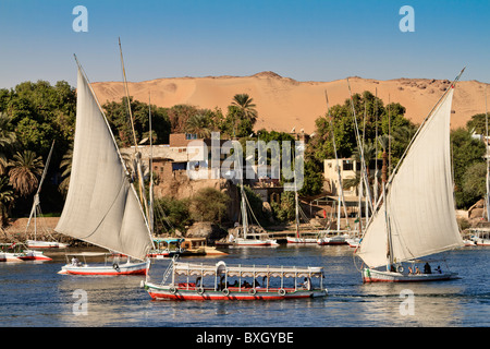 Ägypten Assuan Boote auf dem Nil Stockfoto