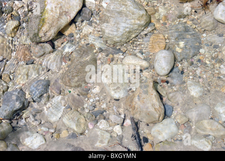 großen und kleinen Steinen im Flusswasser sauber in der autonomen Provinz Trient Stockfoto