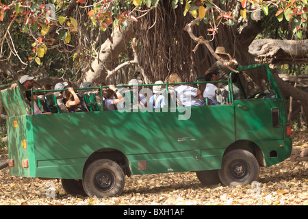 Safari-Truck, Ranthambhore National Park, Rajasthan, Indien, Asien Stockfoto