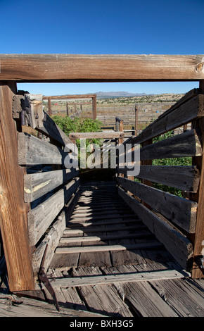 Historischen Magdalena Lager Stifte, verwendet in Cattle Drives Stockfoto